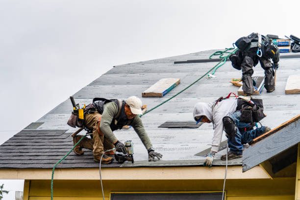 Professional Gutter Installation technician working in Wentworth, NH